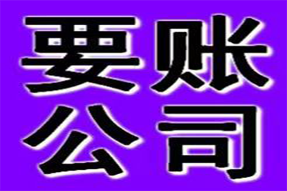 玉龙追数公司